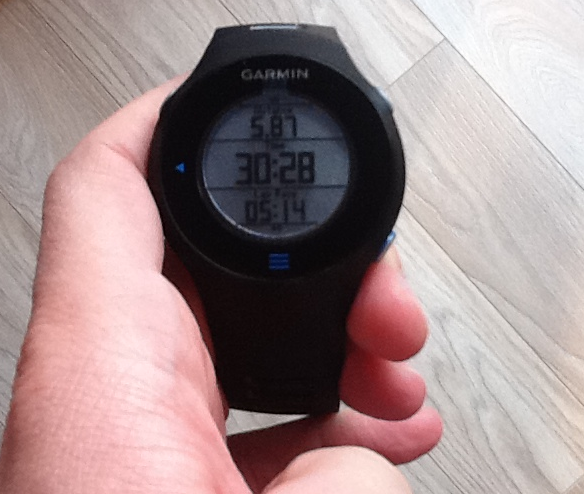 Garmin 610